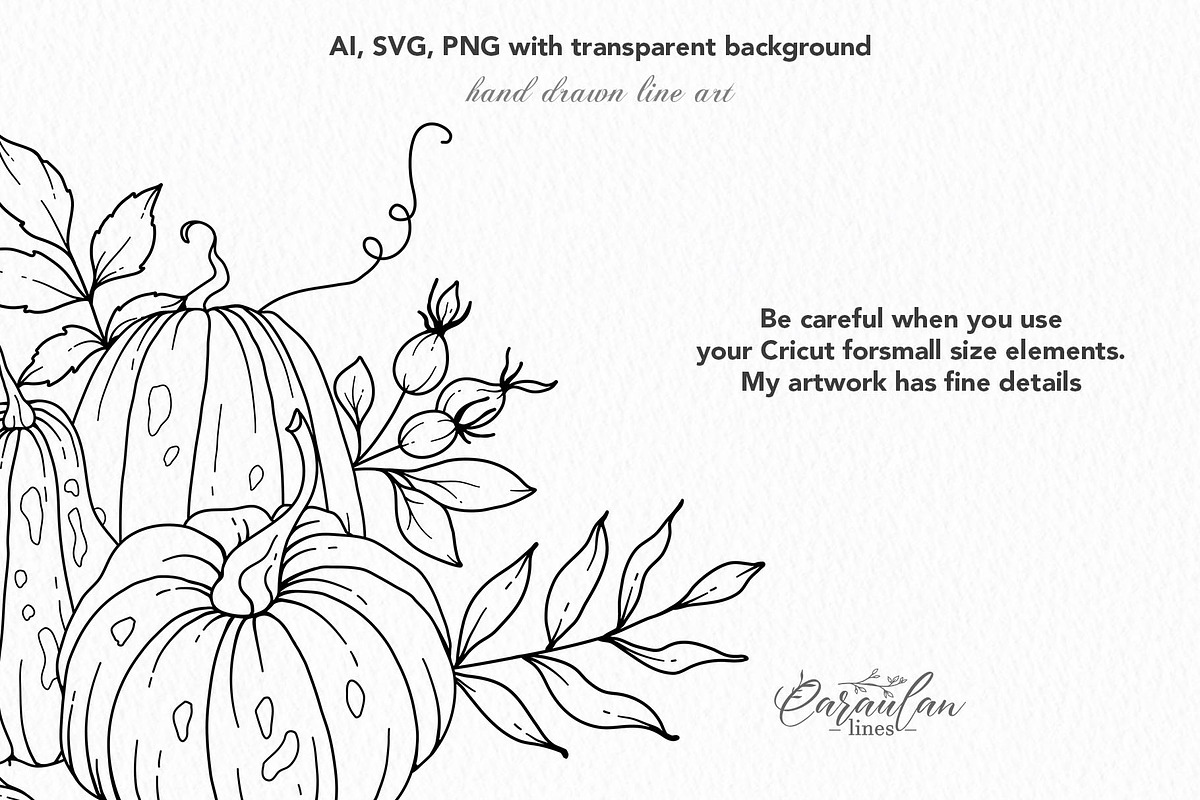 Hand Drawn Pumpkin SVG arrangements, an Object Graphic by CaraulanStore (Photo 8 of 8)
