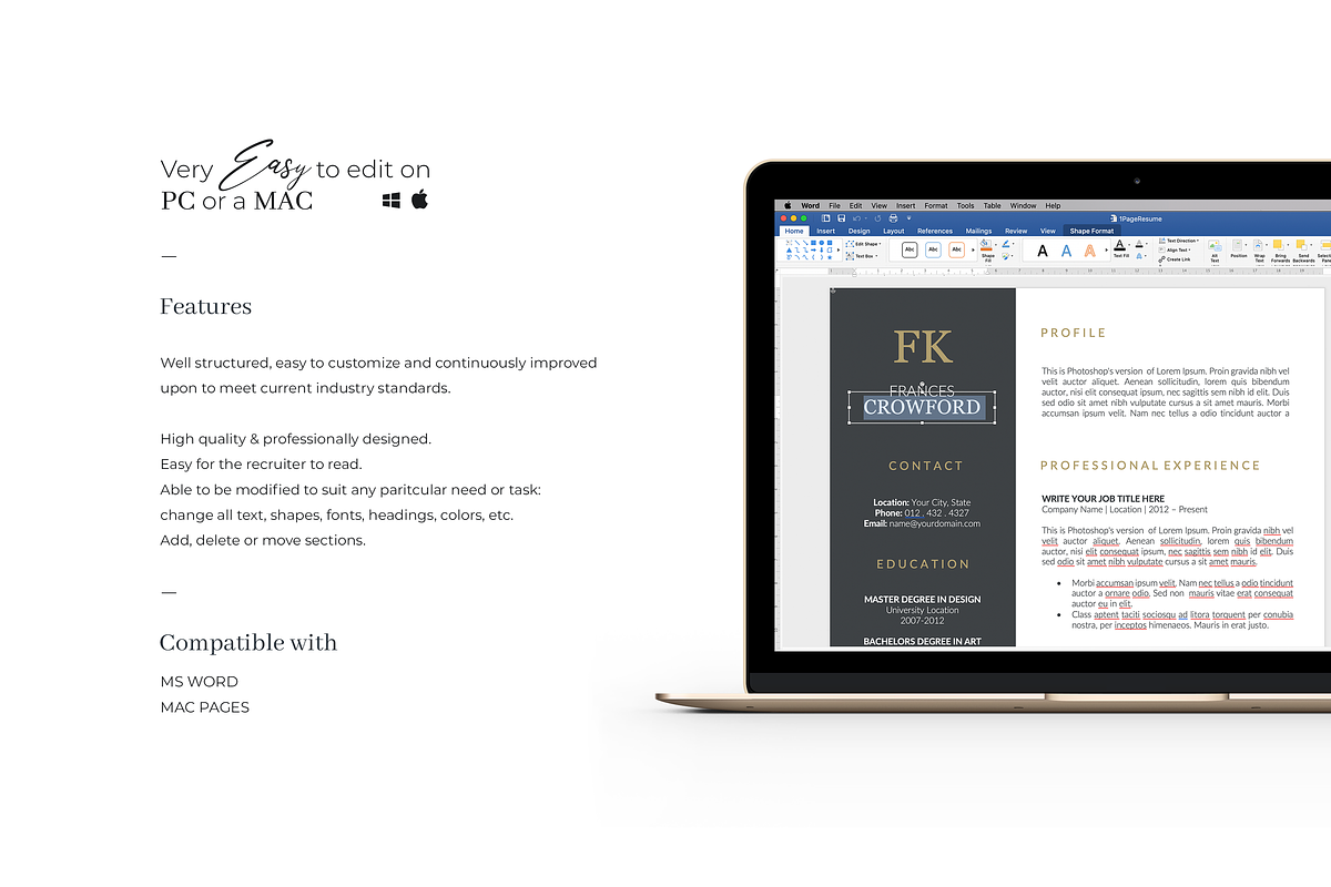 Stylish Resume Design Template, a Resume Template by GraphicFlava (Photo 6 of 8)