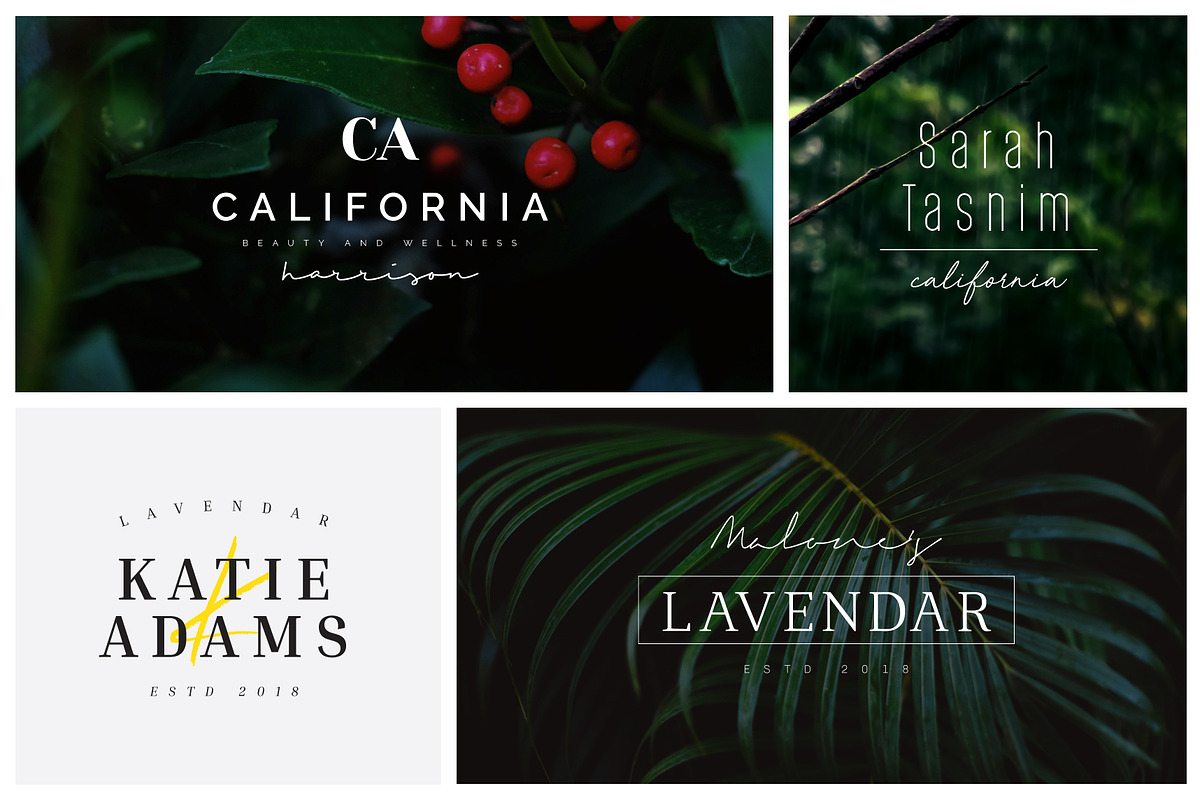 200 Minimal Premade Logo Bundle, a Branding & Logo Template by XpertgraphicD (Photo 12 of 60)