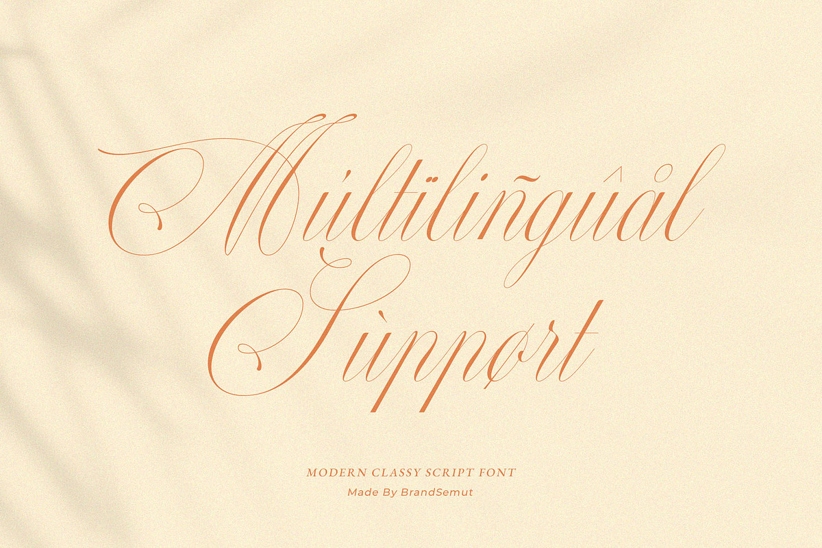 Perfections - Classy Romantic Script, a Script Font by BrandSemut (Photo 7 of 15)