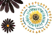 Watercolor Floral Mandalas - DIY Set, an Illustration by amyxbao (Thumbnail 3 of 6)