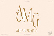 TAN - Variety, a Serif Font by TanType (Thumbnail 12 of 26)