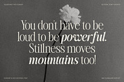 The Silver Editorial - 18 Fonts Pack, a Serif Font by SilverStag Type Foundry (Thumbnail 20 of 30)