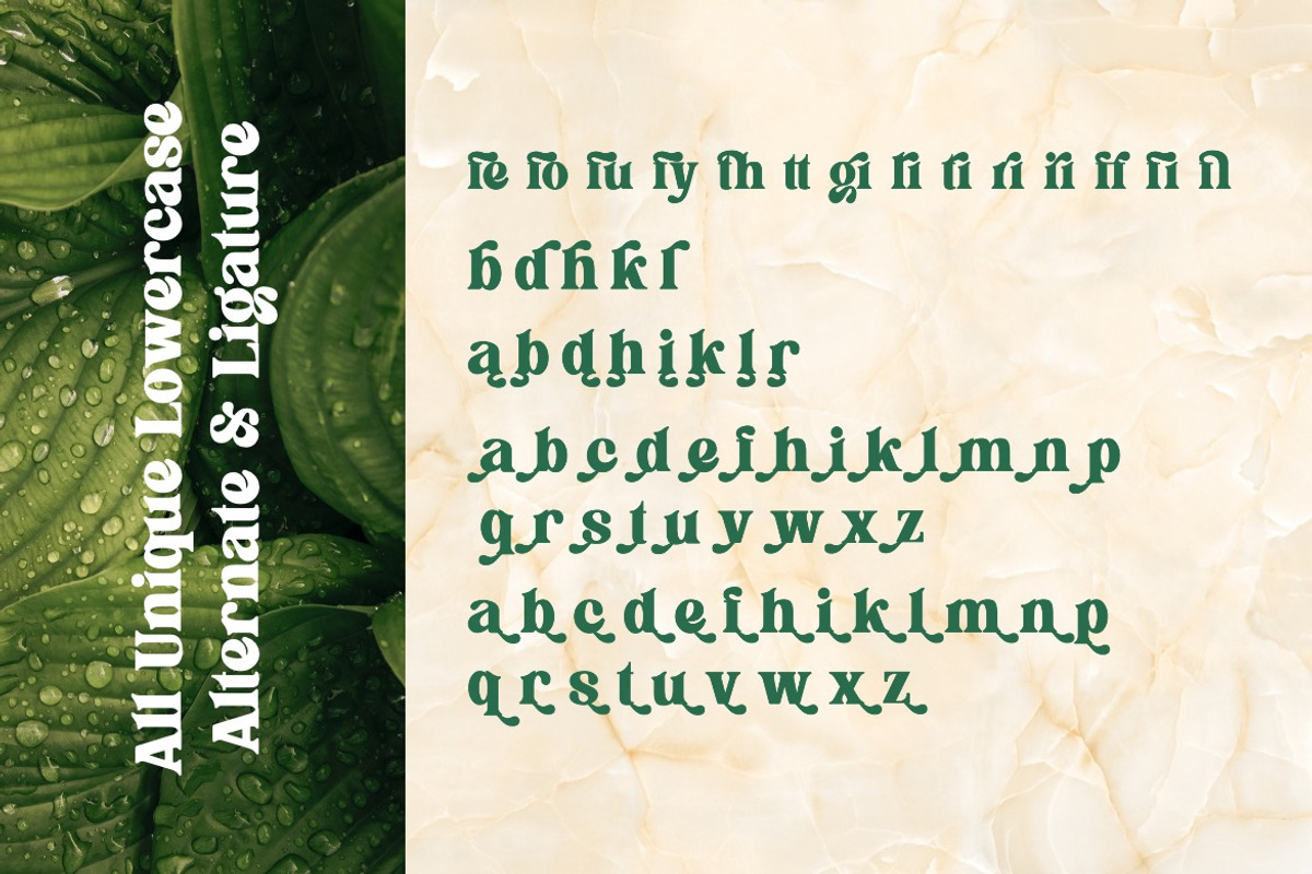 Flagfies - Modern Retro Font, a Serif Font by Dhabee (Photo 6 of 15)
