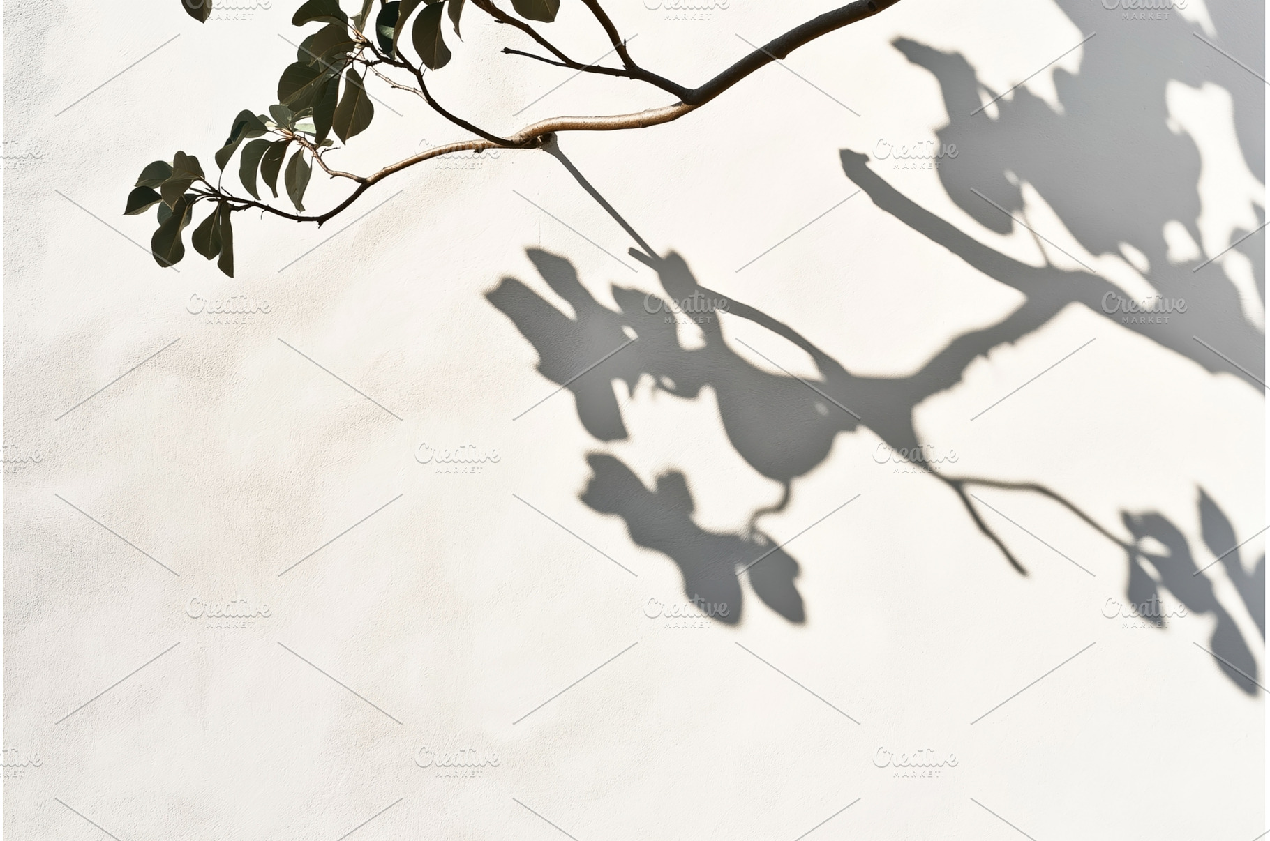 Shadow of tree branches and leaves, a Background Photo by Sergey Kotenev