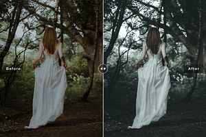 Coven Pro Lightroom Presets