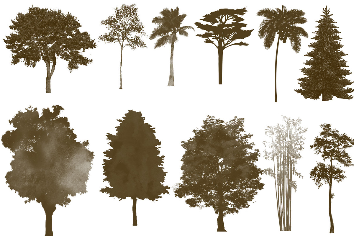 100 Tree Brush Stamps Photoshop, a Brush Add-On by Chipshpow Graphics (Photo 8 of 8)