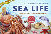 Sea Life Watercolor Clipart Set, an Animal Illustration by AnitaPol (Thumbnail 1 of 16)