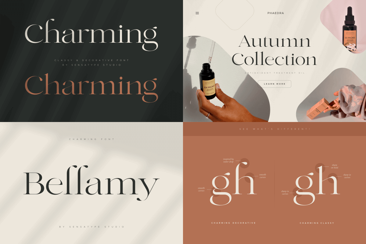 Unique & Classy Modern Font Bundle, a Serif Font by Sensatype (Photo 8 of 11)