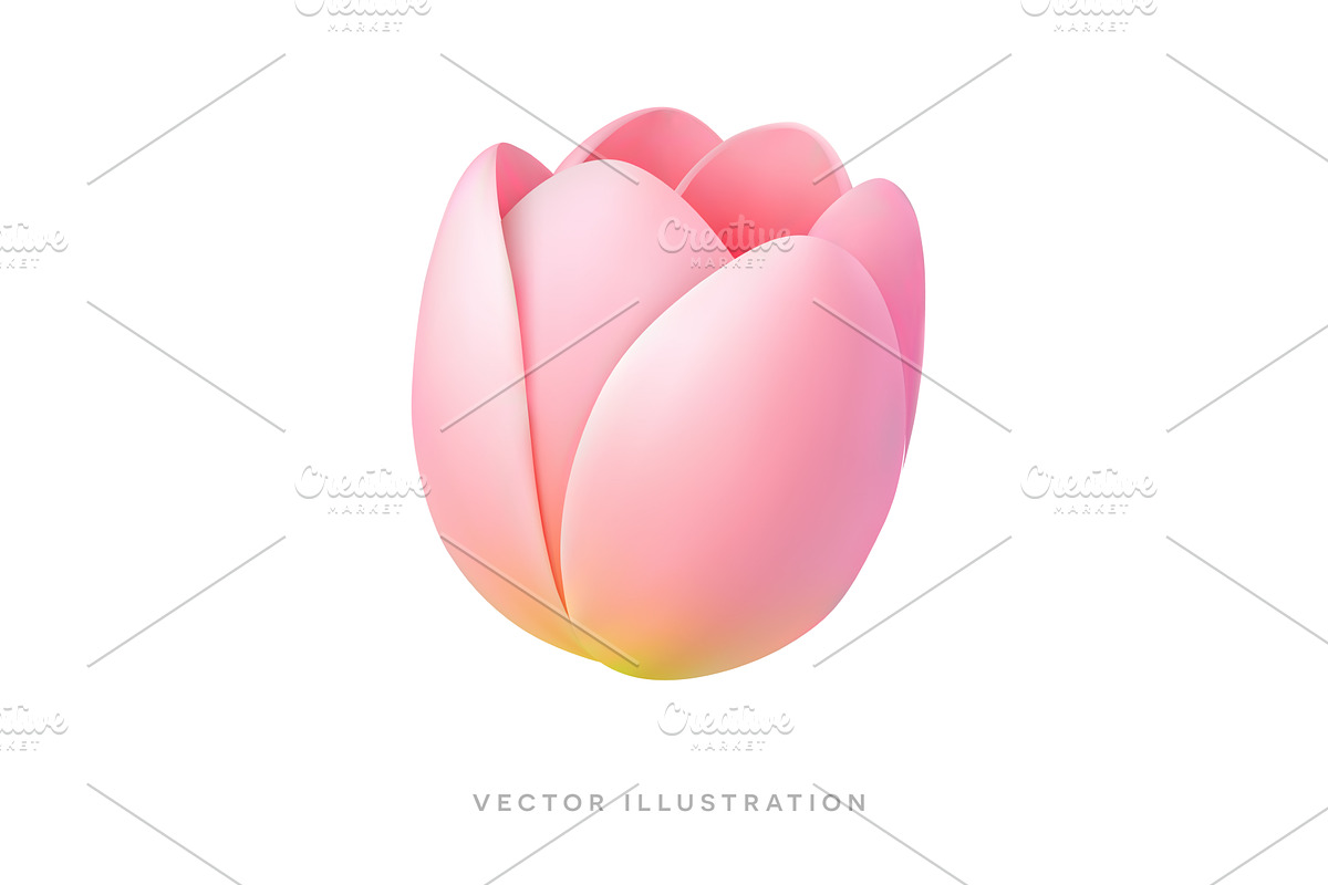 Pink tulip flower 3D realistic icon, an Object Illustration by GraphiShop
