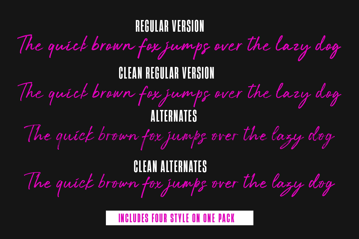 Austrian, a Script Font by Lucky Type (Photo 10 of 12)