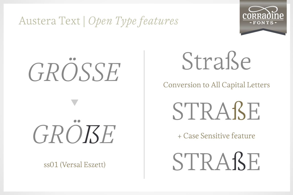 Austera Text Essential #2, a Serif Font by Corradine Fonts (Photo 9 of 14)
