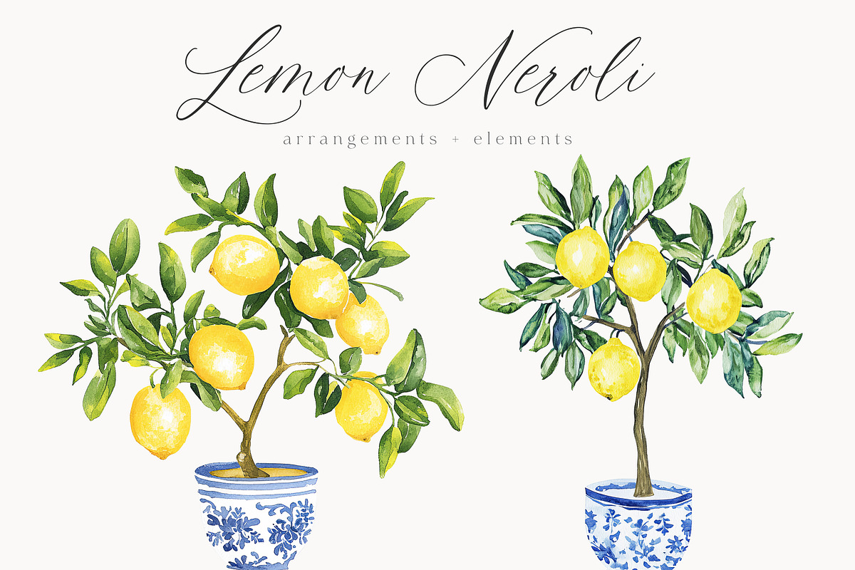 New! Timeless Library Edition, a Graphic by Isabelle Salem (Photo 76 of 211)