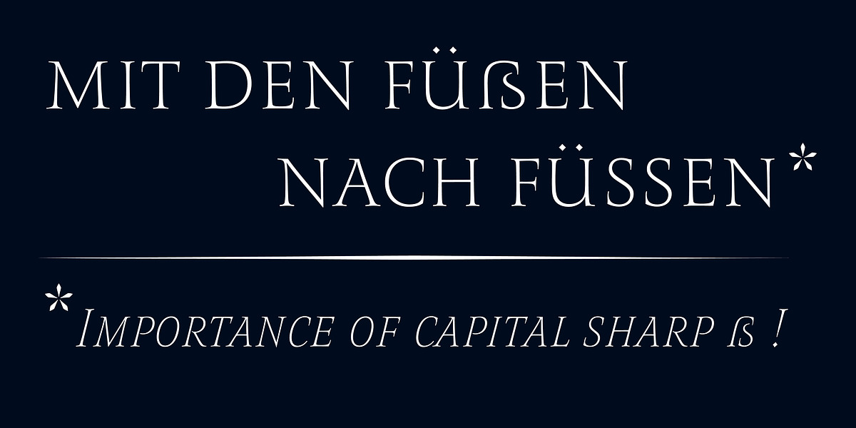 Romis, a Serif Font by Finaltype (Photo 16 of 22)