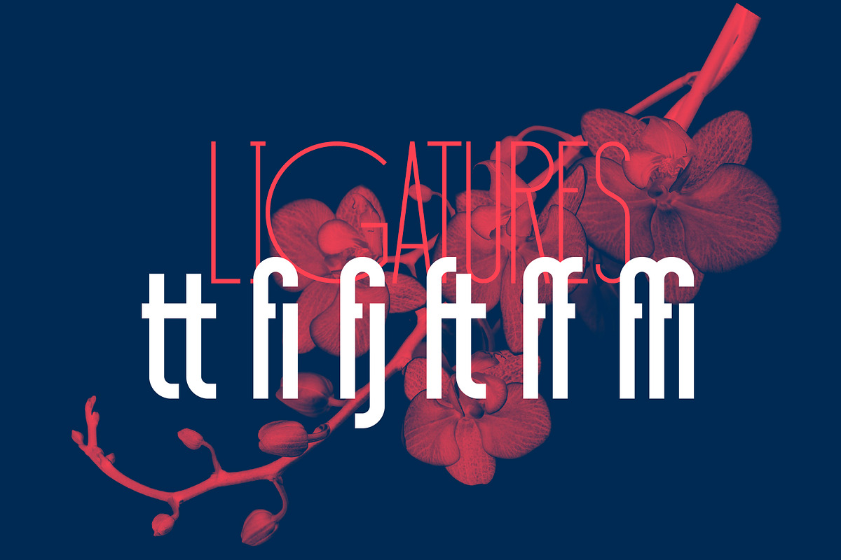 Sansterdam 4 fonts pack, a Sans Serif Font by NREY (Photo 6 of 7)