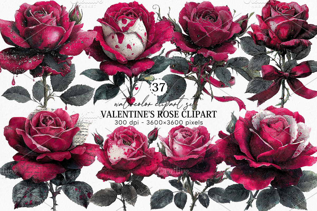 Valentine’s Rose Clipart Bundle, an Illustration by Canvas Craft (Photo 1 of 6)