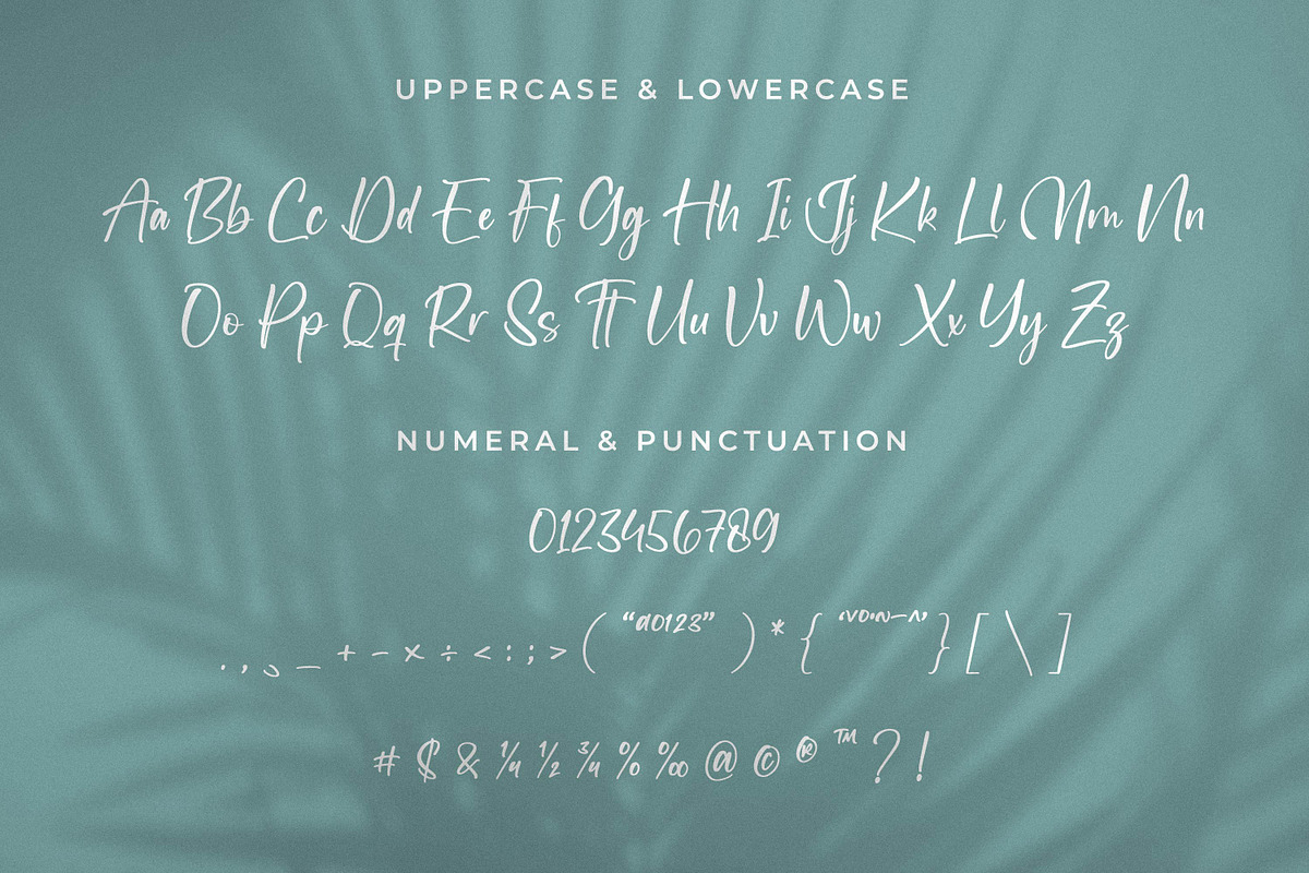 Newscript, a Script Font by Integritype Studio (Photo 8 of 14)