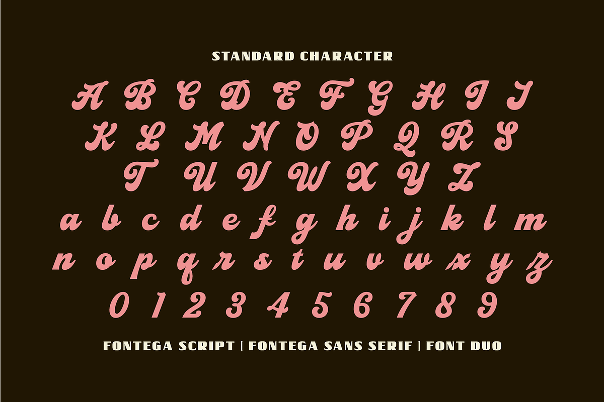 Fontega, a Script Font by ahweproject (Photo 2 of 11)