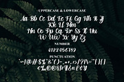 Elegant, a Handwritten Font by FreshTypeINK (Thumbnail 8 of 8)