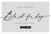 Wild Magnolia Luxury Script, a Script Font by theinkaffair (Thumbnail 11 of 13)