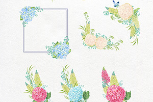 Hydrangea Watercolor Clipart