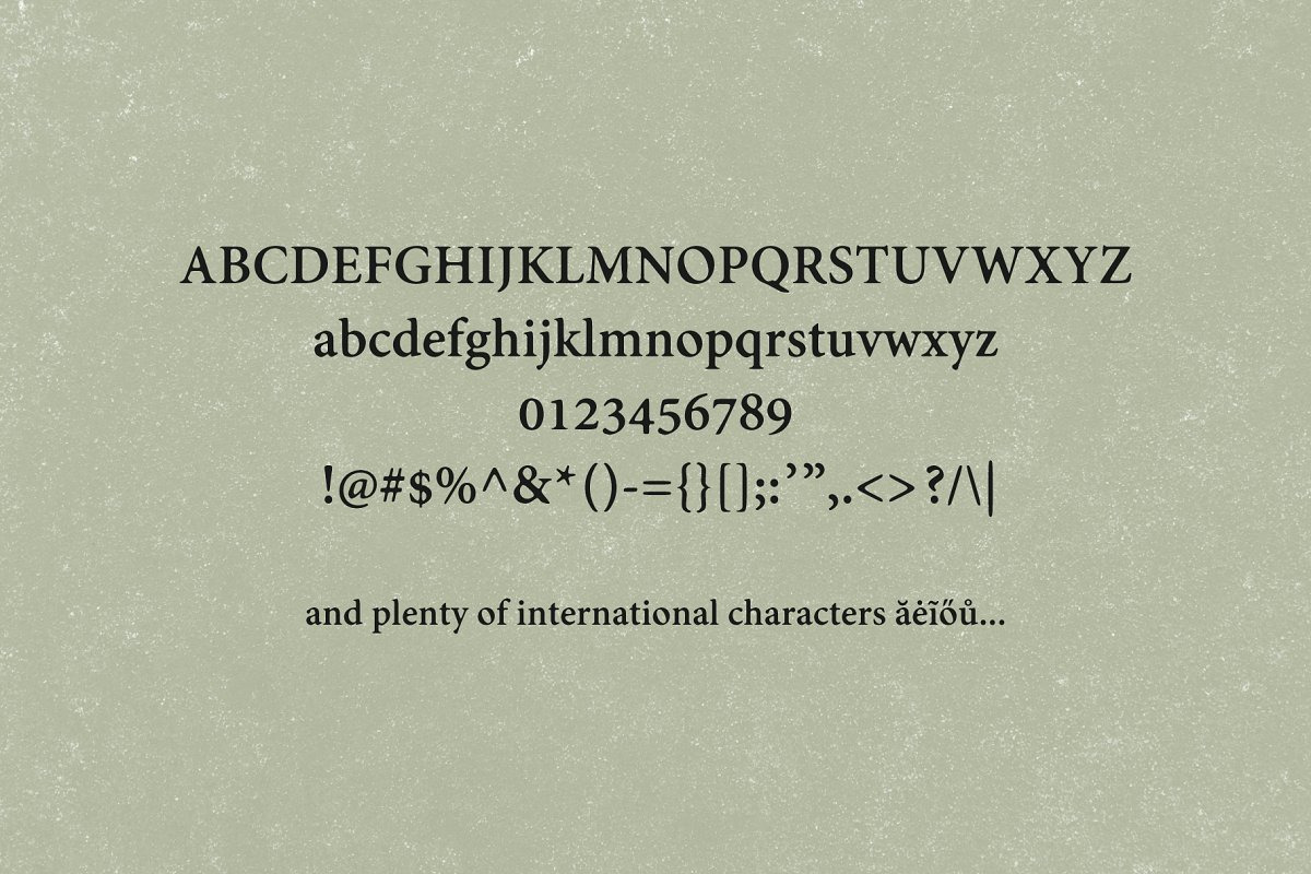 The Modern Serif Font Bundle, a Serif Font by Design 265 (Photo 30 of 33)