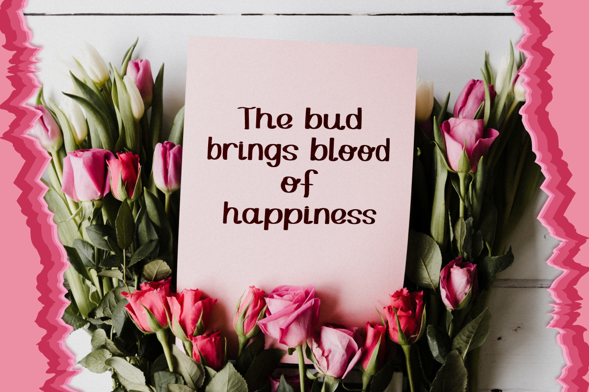 Chendany, a Script Font by Wangsinawang Studio (Photo 2 of 7)