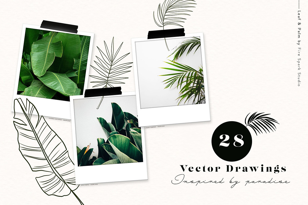 Palm Leaf Vectors and Textures, a Texture Illustration by Fire Spark Studio (Photo 2 of 7)