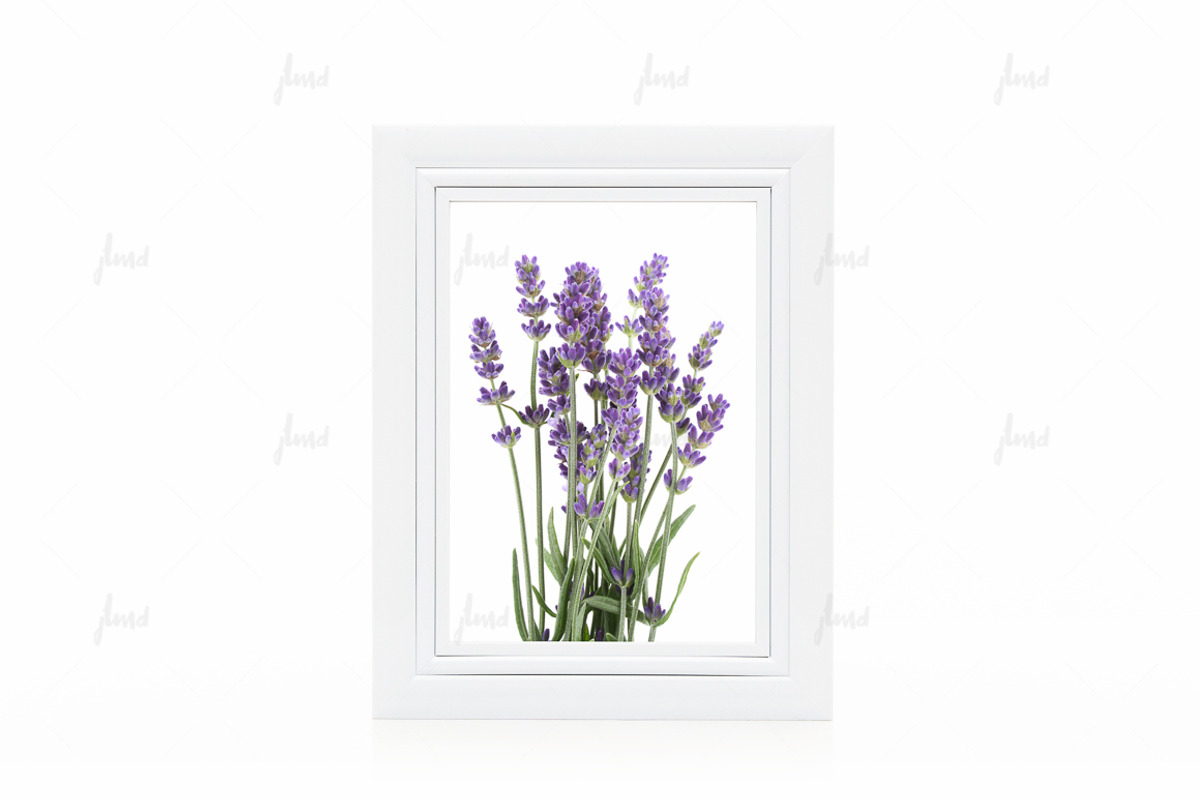 White 5x7 frame isolated mockup, a Print Template by JustLikeMyDesktop (Photo 1 of 3)