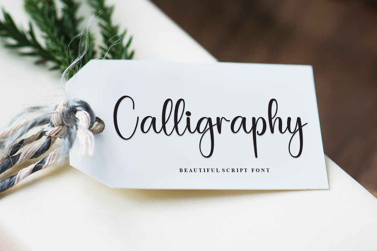 Wildflower | Script Font, a Handwritten Font by Scratchones (Photo 5 of 8)