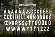 Oakwood - Rustic Font, a Font by Medialoot (Thumbnail 6 of 6)