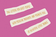 Curious Galgo - Tall Font Family, a Handwritten Font by Gau Silva Studio (Thumbnail 2 of 7)