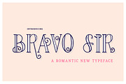 Bravo Sir Font Family, a Serif Font by Salt & Pepper Designs (Thumbnail 1 of 11)