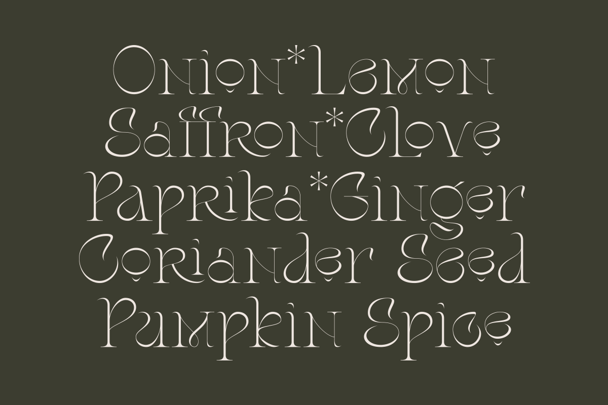Stager - Unique Classy Serif, a Serif Font by Dharmas Foundry (Photo 4 of 15)