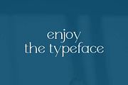 Willy Moody Elegant Serif, a Serif Font by Artiveko (Thumbnail 6 of 8)