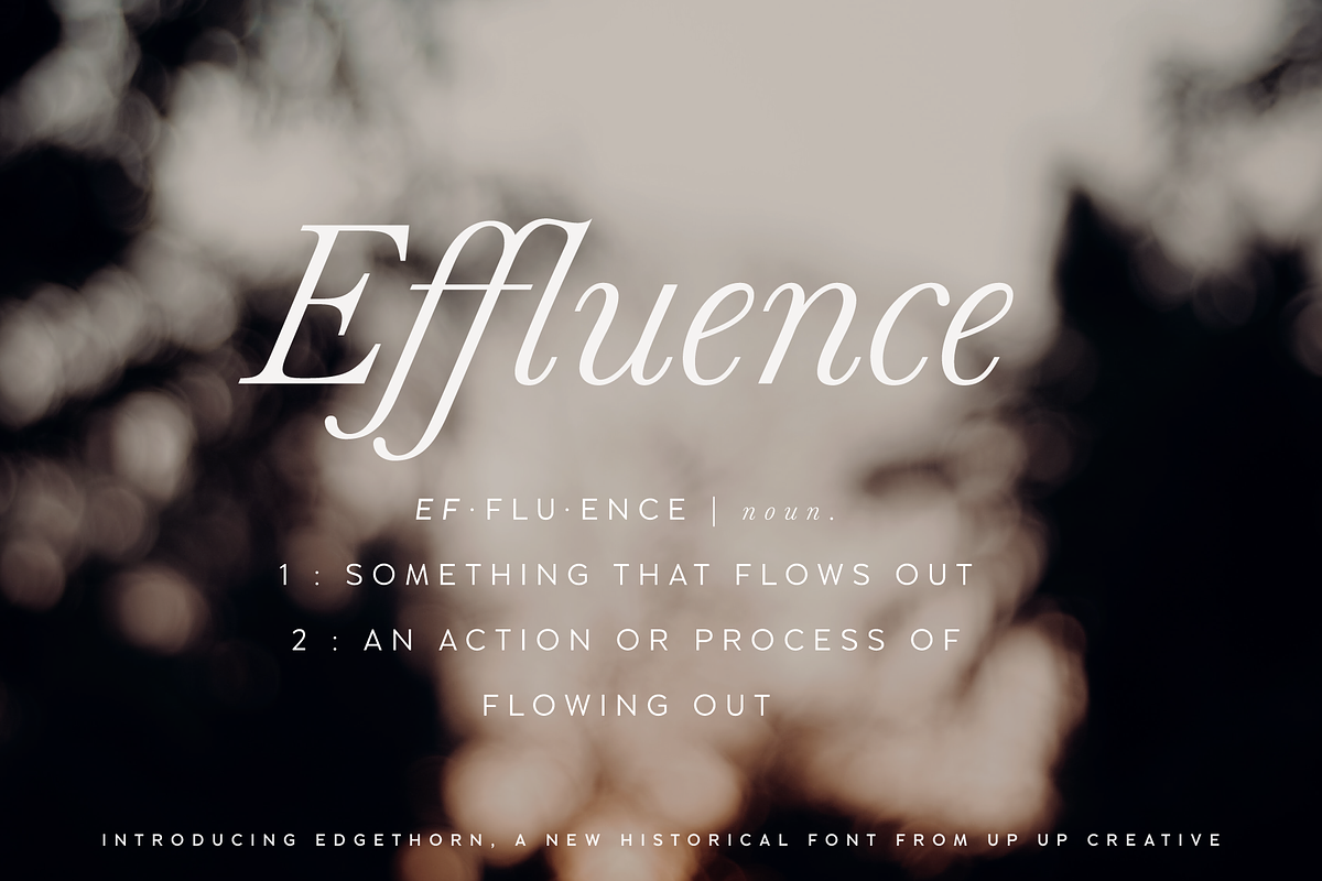 Edgethorn Italic Serif Font, a Serif Font by Up Up Creative (Photo 11 of 17)
