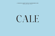 Cale | A beautiful serif font, a Serif Font by Supersimbo © (Thumbnail 9 of 9)