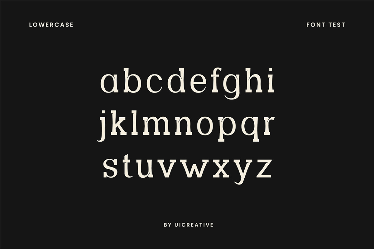 Methadone Modern Serif Font, a Serif Font by UICreative (Photo 12 of 13)