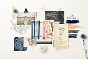 Botanical Graphic Collection, an Illustration by Twigs and Twine (Thumbnail 9 of 10)
