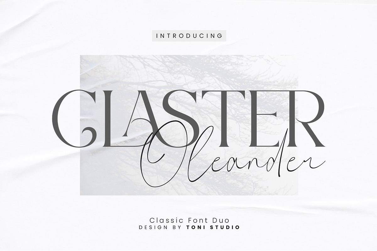 Claster Oleander, a Font by ToniStudio (Photo 1 of 11)