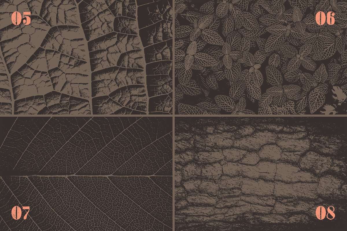 Nature Textures Volume One, a Texture Graphic by Skout Supply Co. (Photo 4 of 8)