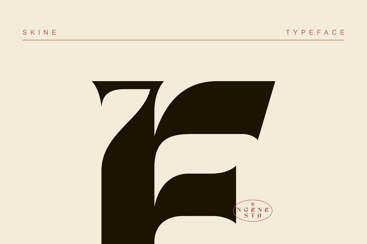 Skine, a Font by ngene (Photo 12 of 13)
