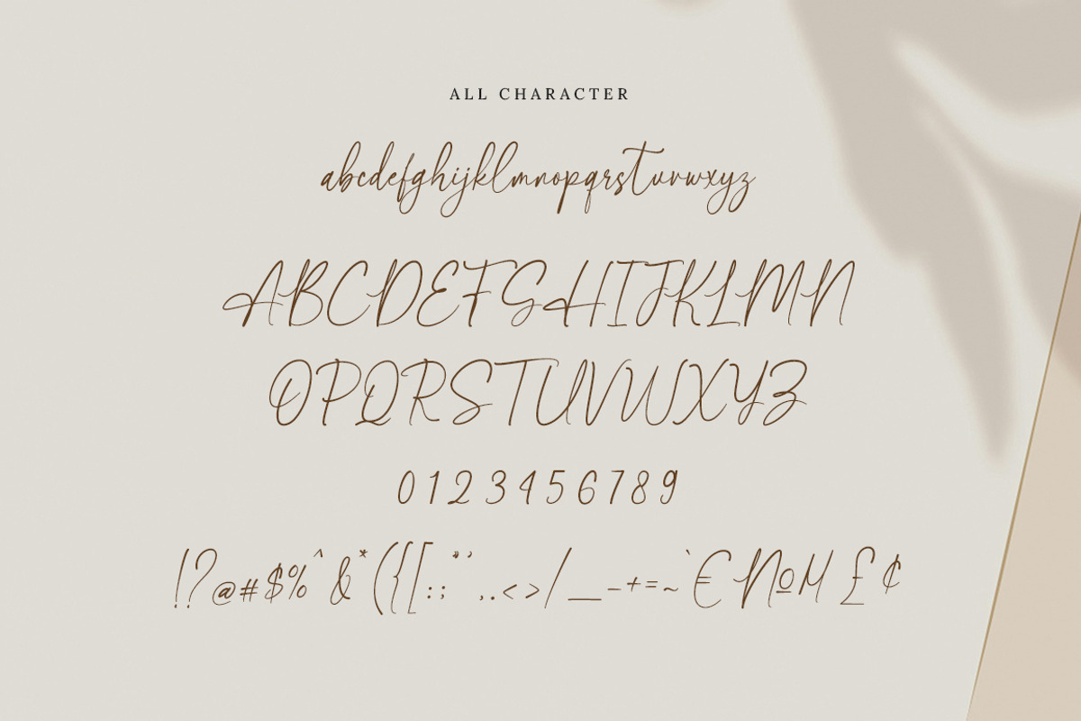 Shintalova - Elegant Script Font, a Script Font by Bluestype Studio (Photo 8 of 9)