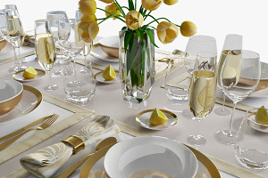 Table Setting 08