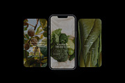 Gut Health Instagram Template, a Social Media Template by Terraa Studio Design (Thumbnail 6 of 10)