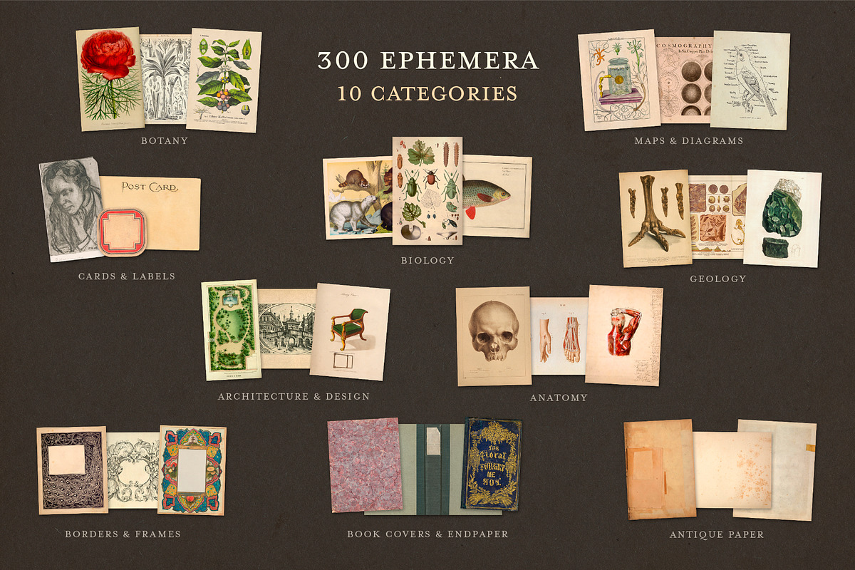 Dark Academia: 300 Vintage Ephemera, an Object Graphic by The Object Atlas (Photo 3 of 9)