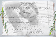 White Marble Calligraphy Font, a Script Font by CallMeStasia (Thumbnail 9 of 10)