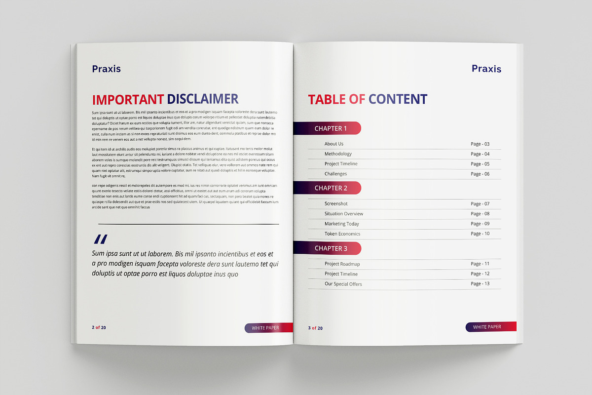 White Paper Template, a Brochure Template by azadcsstune (Photo 2 of 12)
