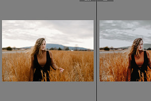 Earthy Tones - Lightroom Presets