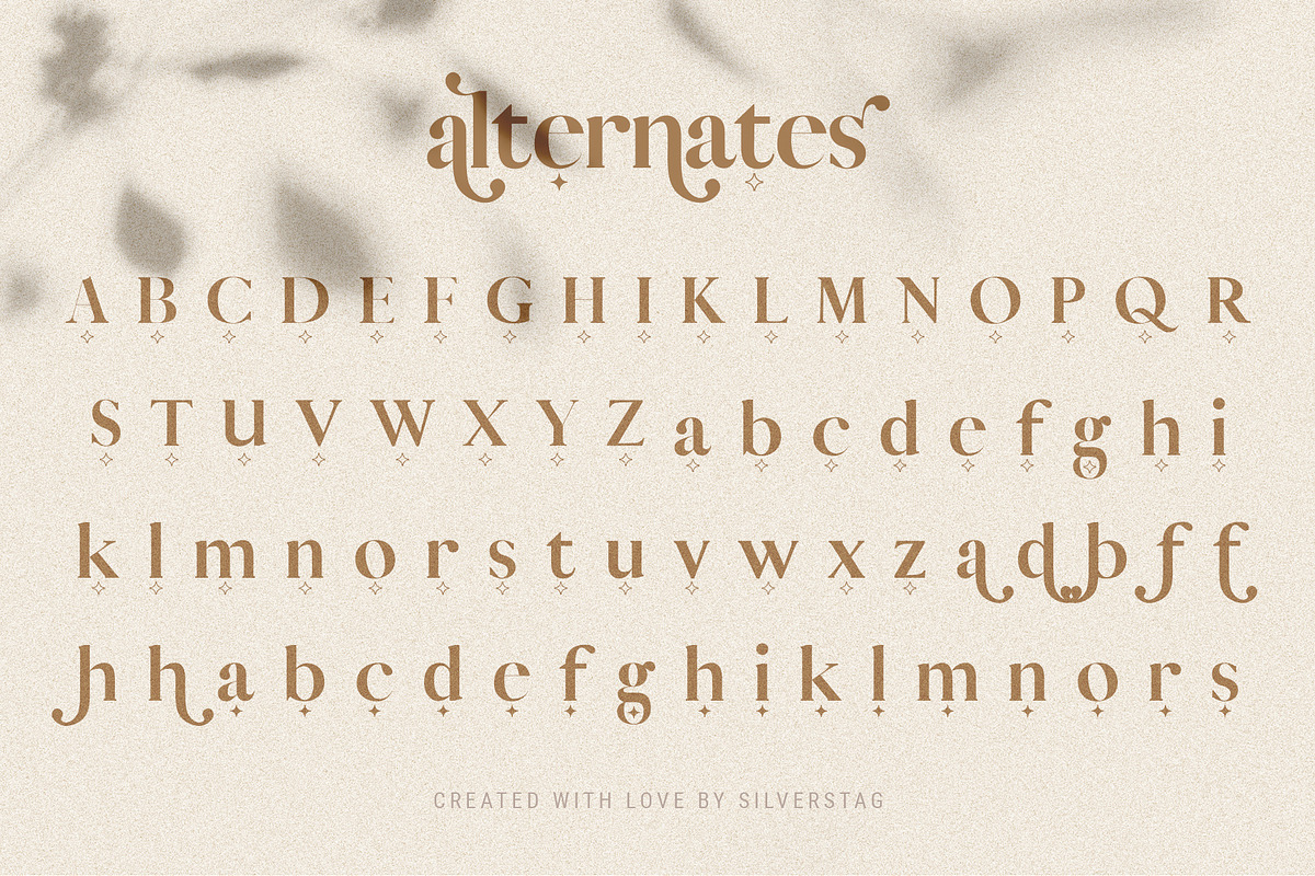 Vicky Christina Ligature Serif Font, a Serif Font by SilverStag Type Foundry (Photo 24 of 25)